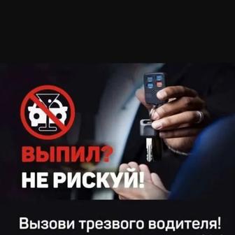 Трезвый водитель
