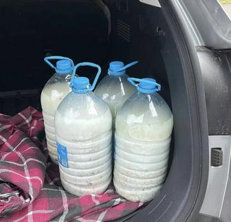 Nauryz koje / Наурыз Коже