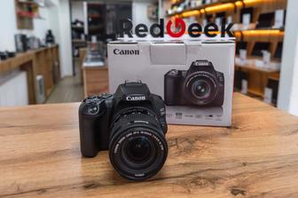 Canon EOS 250D EF-S 18-55 Рассрочка Магазин Red Geek