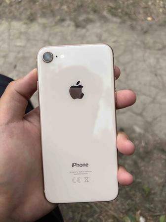 iPhone 8