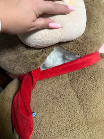Отдам большого плюшевого медведя