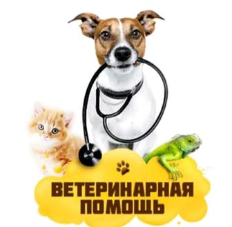 Ветеринар