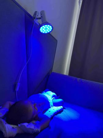 Прокат лампы от желтушки