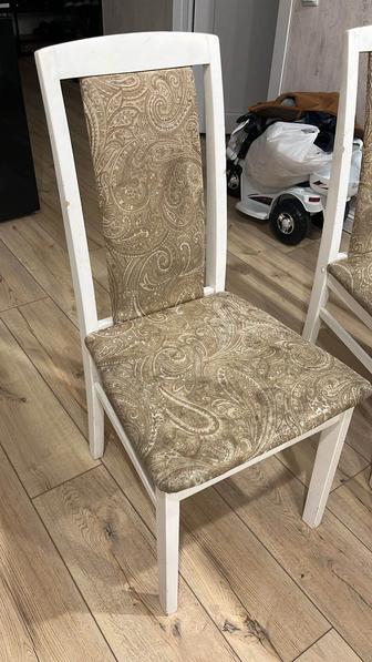 Продам стулья