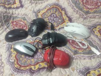 Не рабочие 6 мышек, PocketBook, Подставка для ноутбука