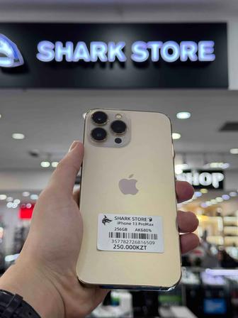 iPhone 13 Pro Max 256GB