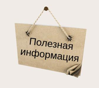Ищу работу сиделки