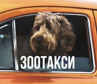 Зоотакси