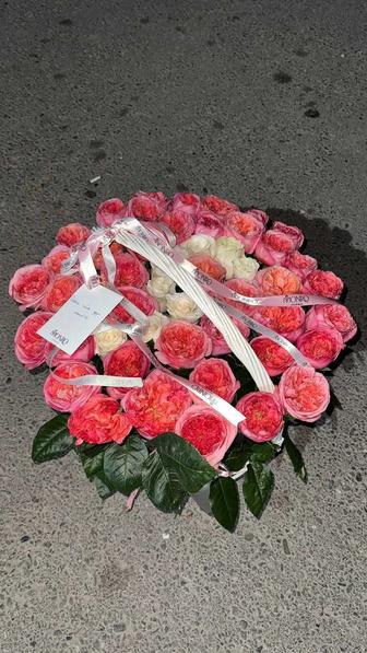 Цветы розы с Буквой S