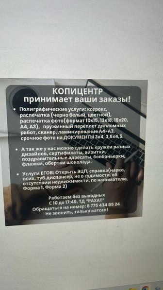 Программист