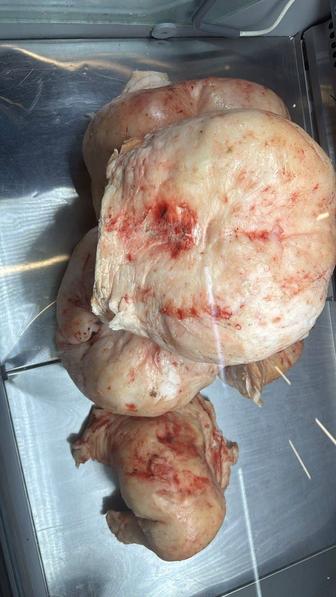 Курдюк бараний