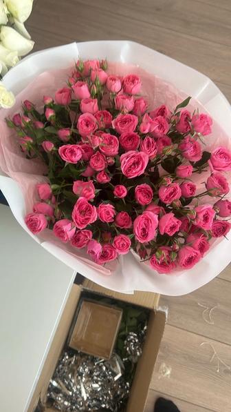 Продам цветы