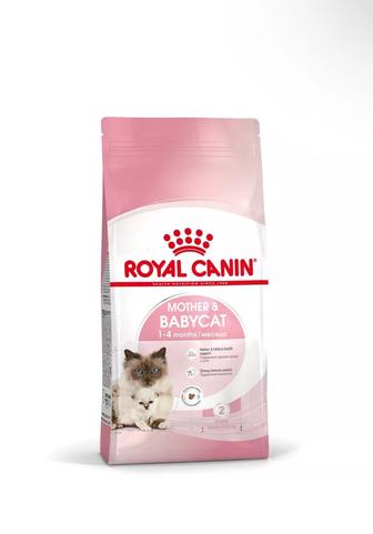 Корм для кошек и котят Royal Canin