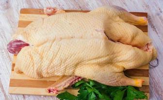 Гуси домашние