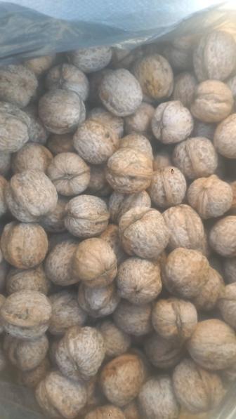 Греческие орехи свежие.Чистые отборные.Доставка до дома.