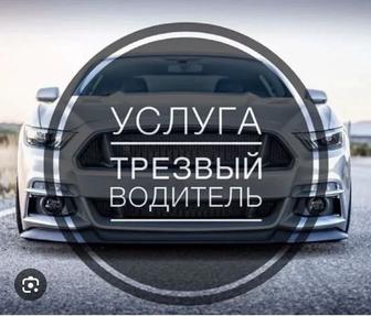 Трезвый водитель