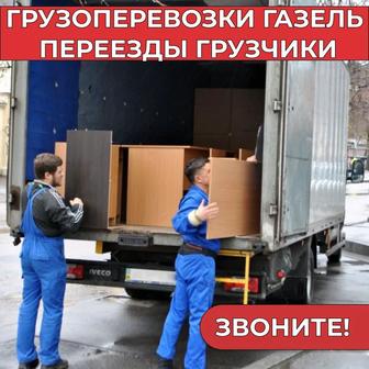 Грузчики землекопы