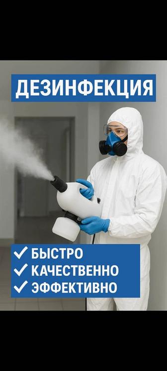 Дезинфекция и дезинсекция
