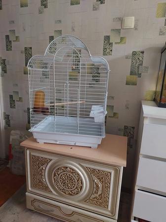 Клетка большая попугаем
