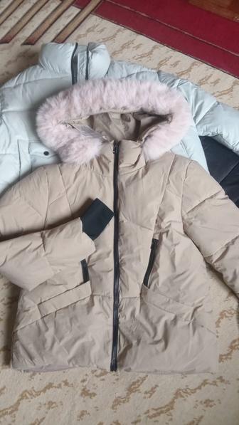 Зимние куртки