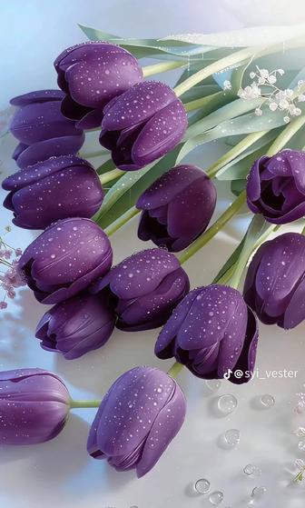 Уборка дома помагаю