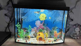 Продам Классические прямоугольные аквариумы