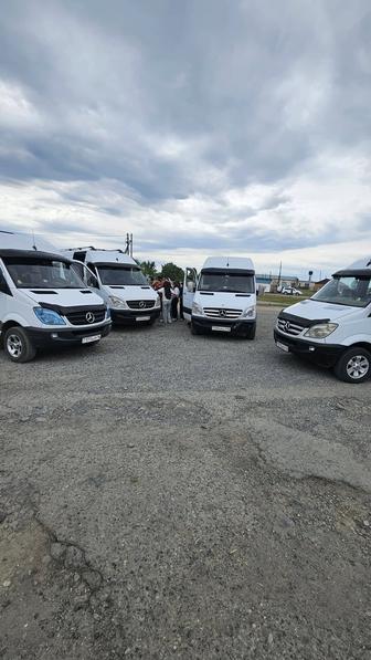 Пассажирские перевозки