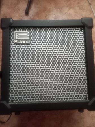 Roland CUBE 40-XL cosm
