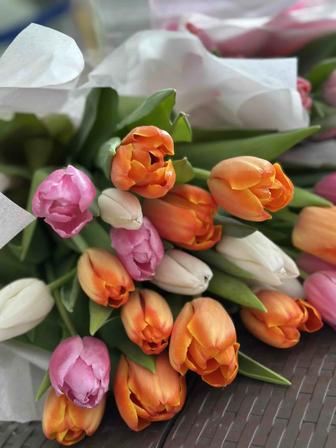 Тюльпаны 750 тг/шт