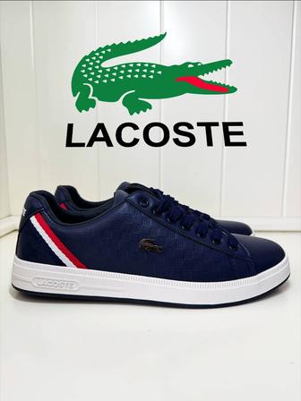 Lacoste // Кеды синие