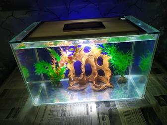 Аквариум 23л. Бонусы и рыбки.