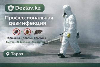 Дезинфекция тараз и область