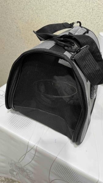 Сумка для кота