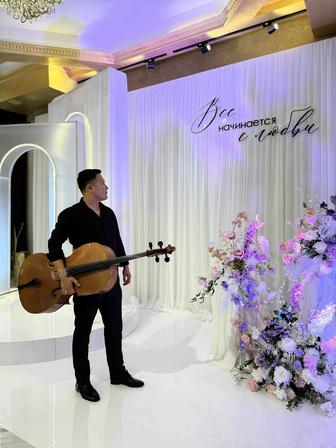 Виолончель. Живая музыка