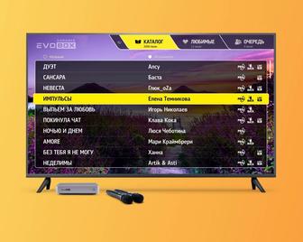 Караоке система Evolution EVOBOX PLUS