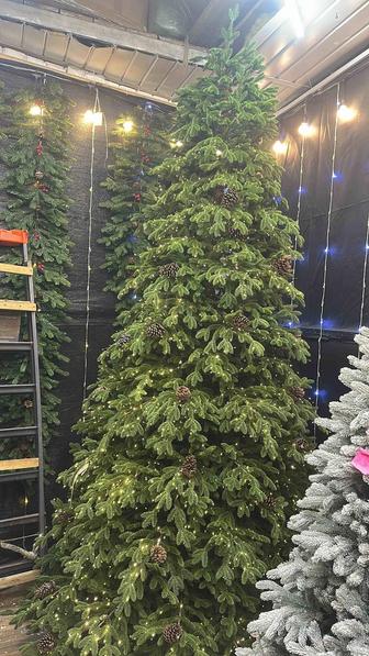 Новогодние елки