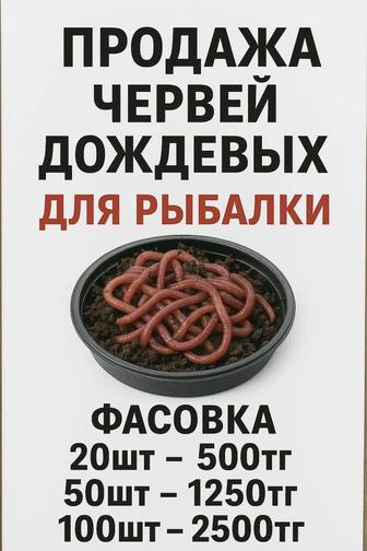Продам дождевых червей для рыбалки