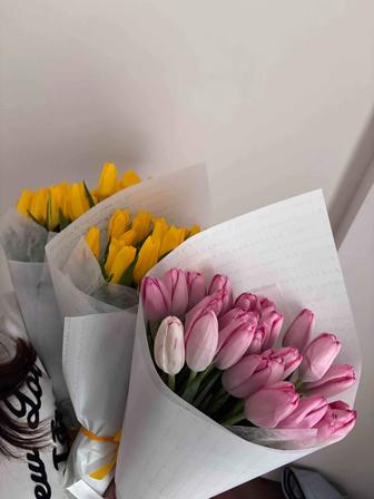 Тюльпаны по хорошей цене