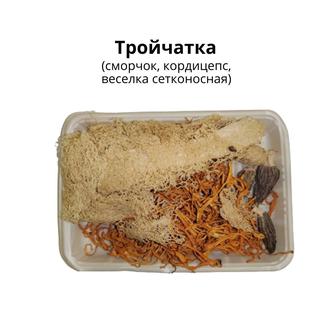 Тройчатка (веселка, сморчок, кордицепс)