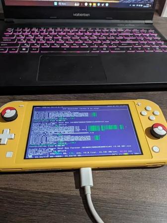 Чиповка и прошивка Nintendo Switch / Lite / Oled