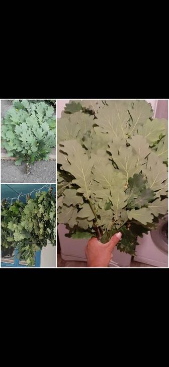 Дубовые веники для бани сауны парной банные веники