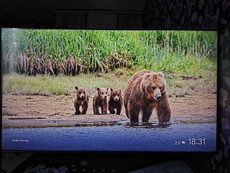 Продам телевизор TCL 55С655 140см.