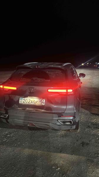 Трезвый водитель