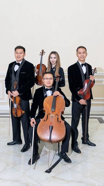 Живая музыка