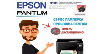 Сброс счетчиков принтера EPSON. Прошивка PANTUM, помощь с подключением