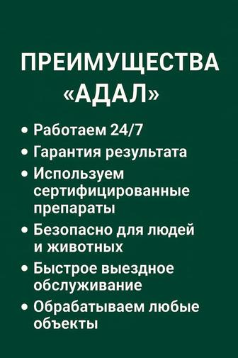 ДЕЗИНСЕКЦИЯ АДАЛ / АДАЛ ДЕЗИНСЕКЦИЯСЫ Профессиональная обработка