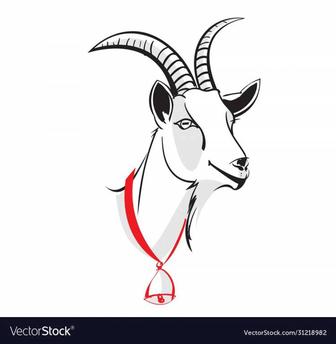 Продаю козье молоко