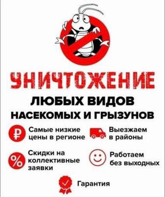 Дезинсекция насекомых, дератизация грызунов