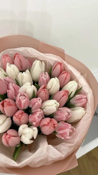 Тюльпан оптом и в розницу