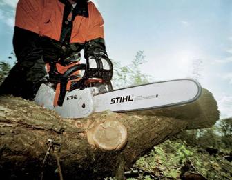 Спил деревьев